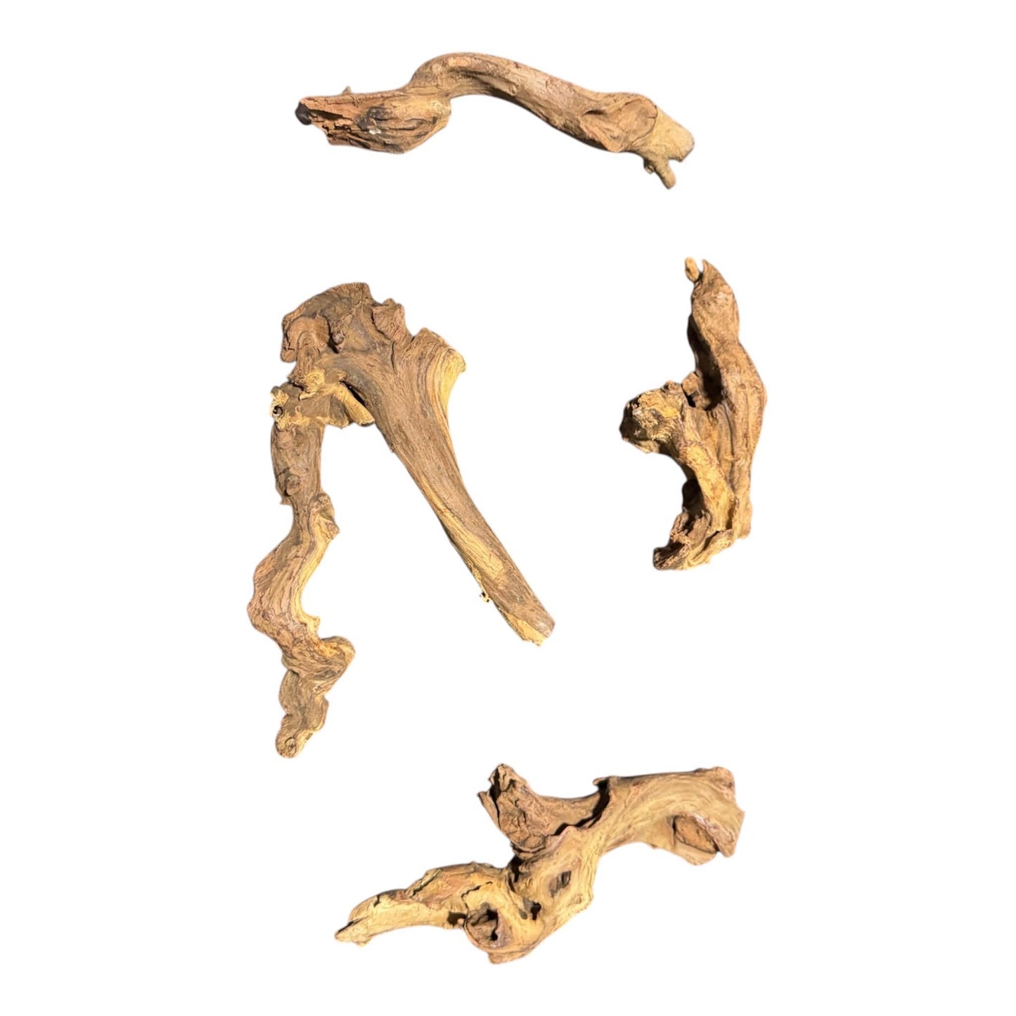 Mopani Driftwood 6–7” – Aquarium Wood Decor for Fish, Shrimp, and Reptiles