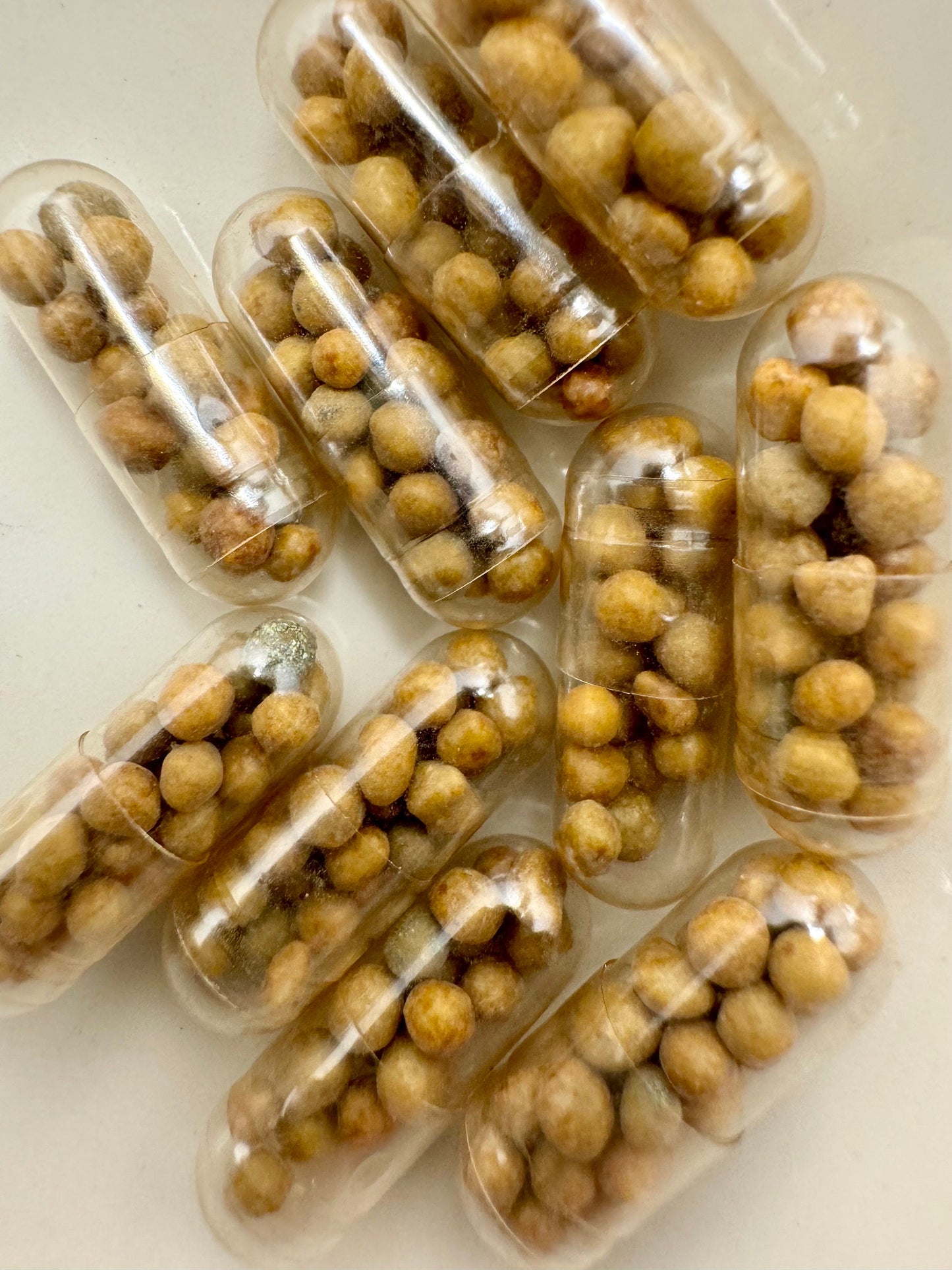 Root Tabs for Aquarium Plants