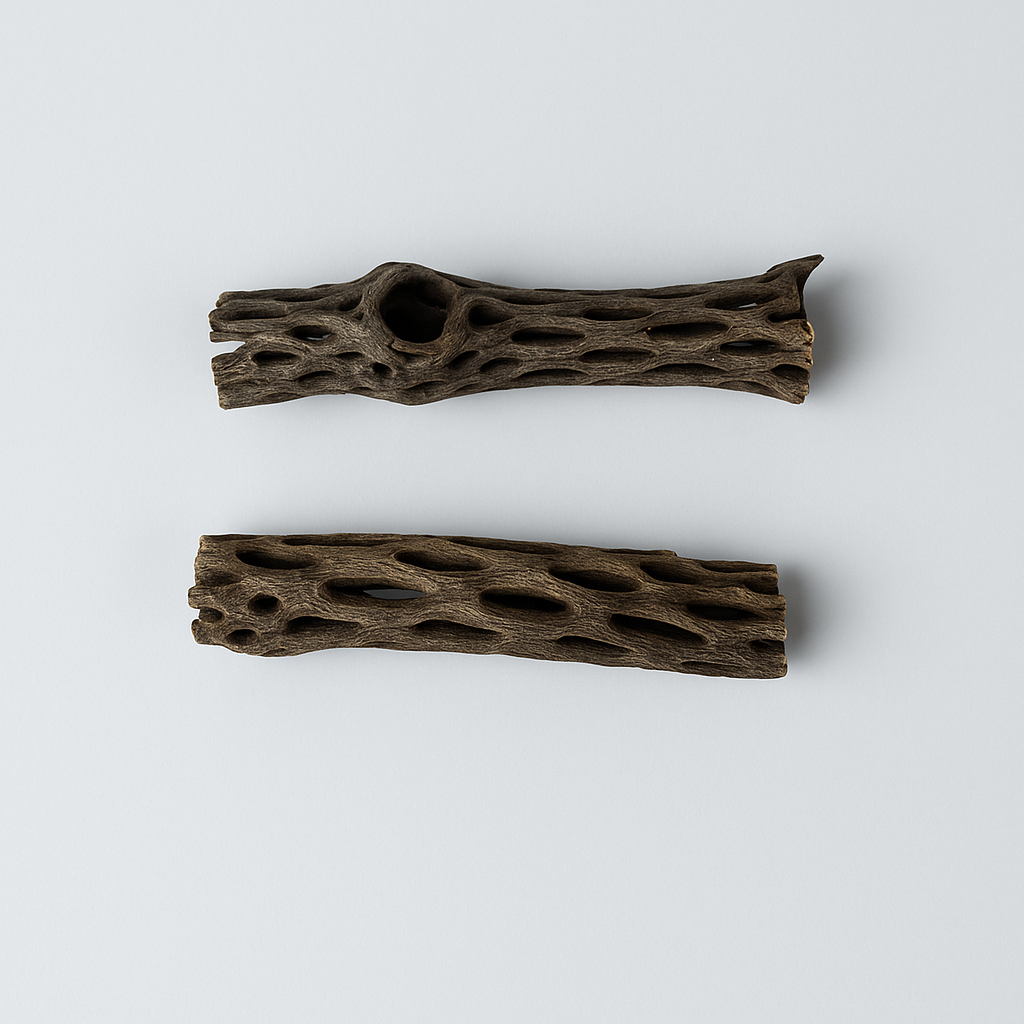 Cholla Wood with Moss For Shrimp