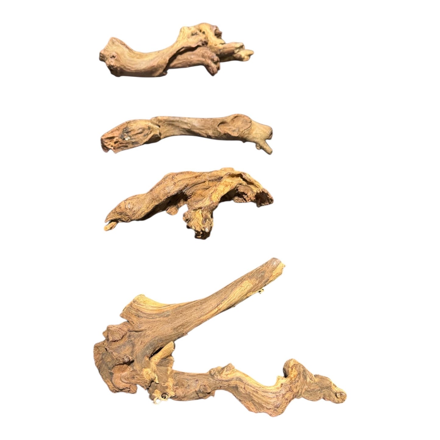 Mopani Driftwood 6–7” – Aquarium Wood Decor for Fish, Shrimp, and Reptiles
