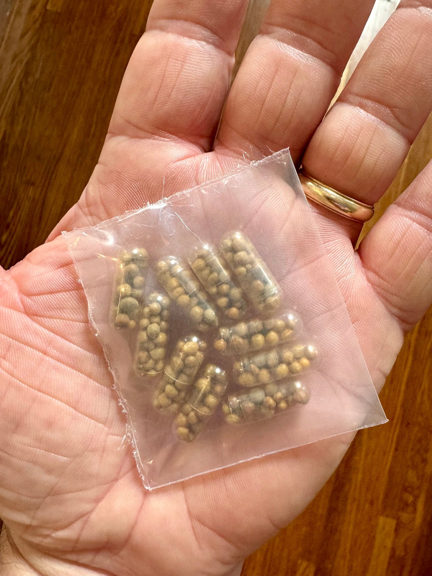 Root Tabs for Aquarium Plants