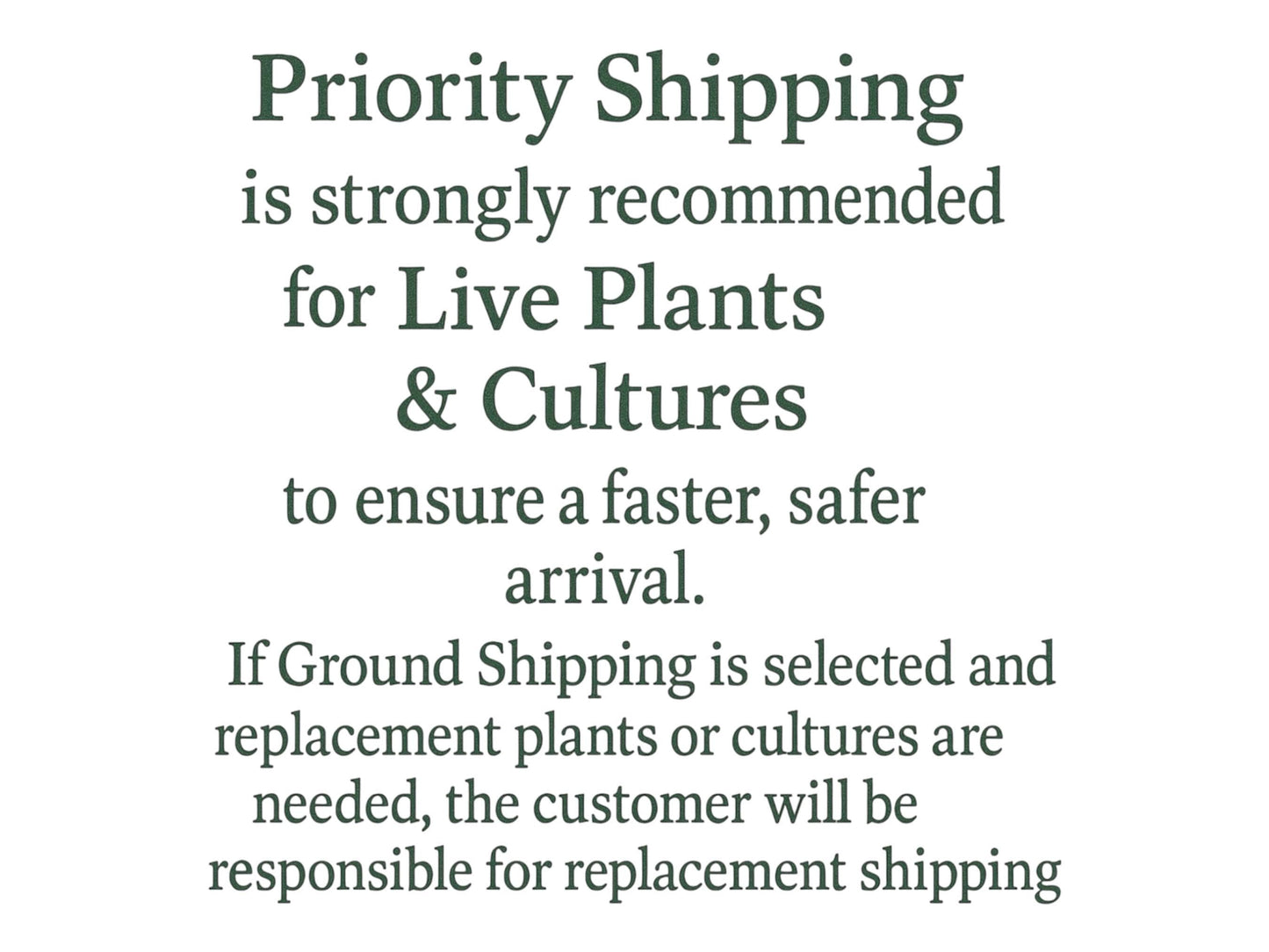 Floating Plant Mix – Red Root Floater, Salvinia and Duckweed | Live Aquarium & Pond Plants for Bettas and Beginners