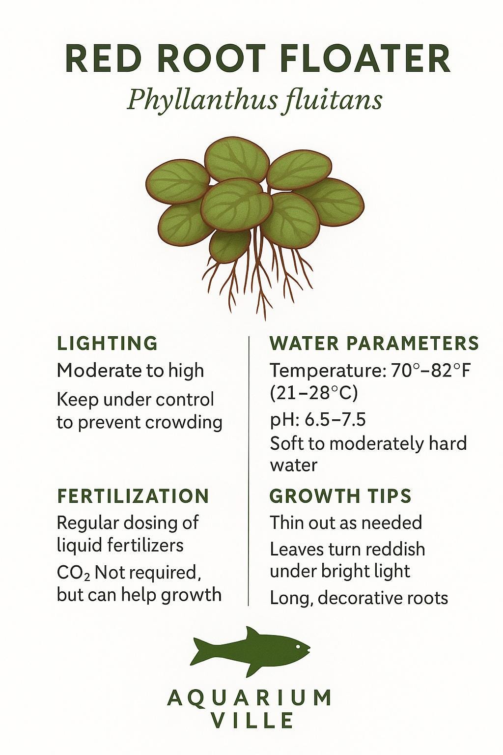 Aquarium Plant Starter Bundle – 4 Floating Plants - Red Root, Frogbit, Salvinia & Water Lettuce – Great for Shrimp and Betta