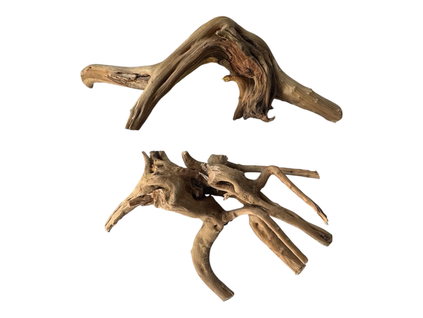 One 6-8 Inch Spiderwood, Natural Aquarium Hardscape for Aquascaping and Planted Tanks
