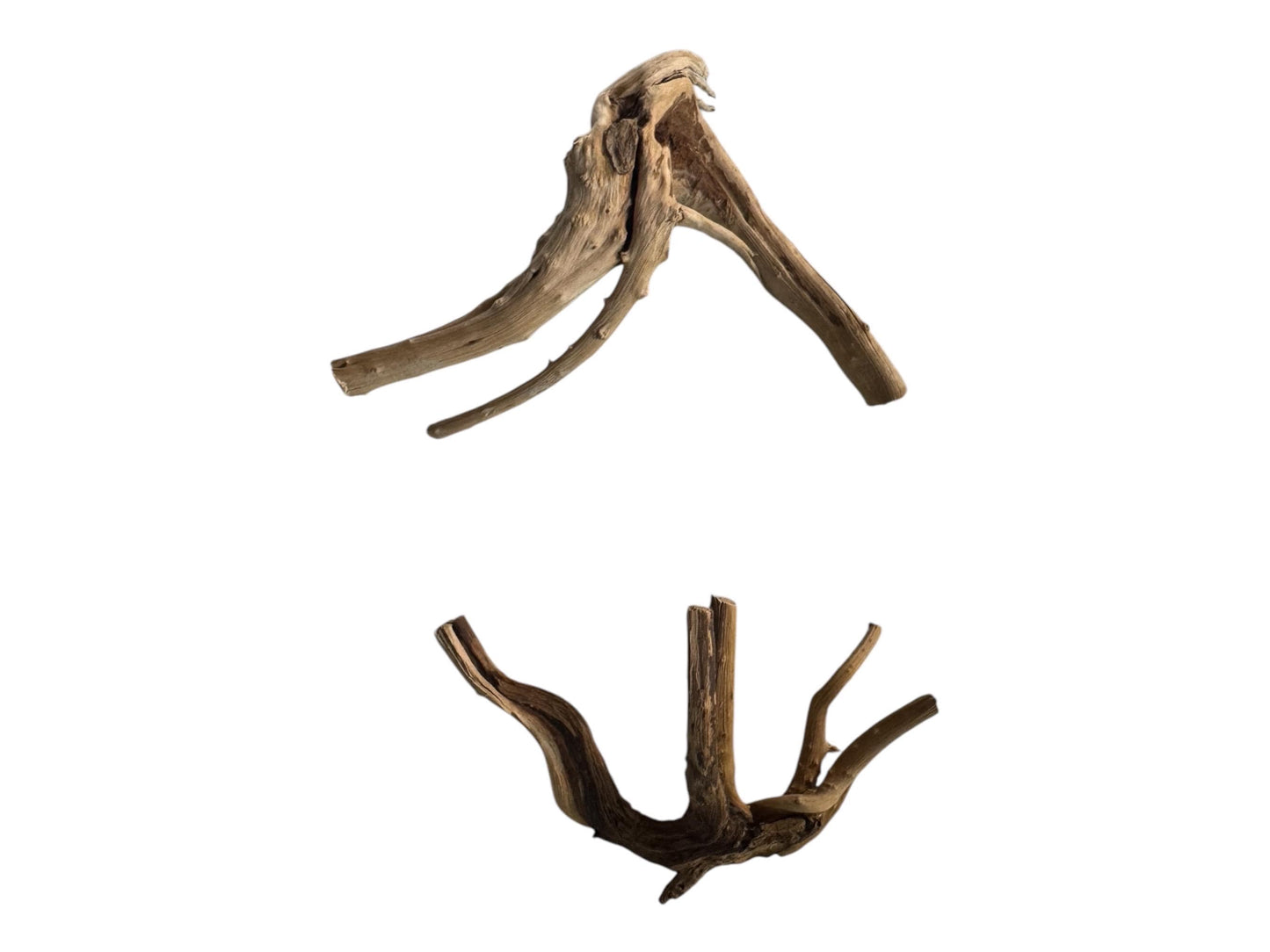 Spiderwood, 5-7 inches - Natural Aquarium Hardscape for Aquascaping and Planted Tanks