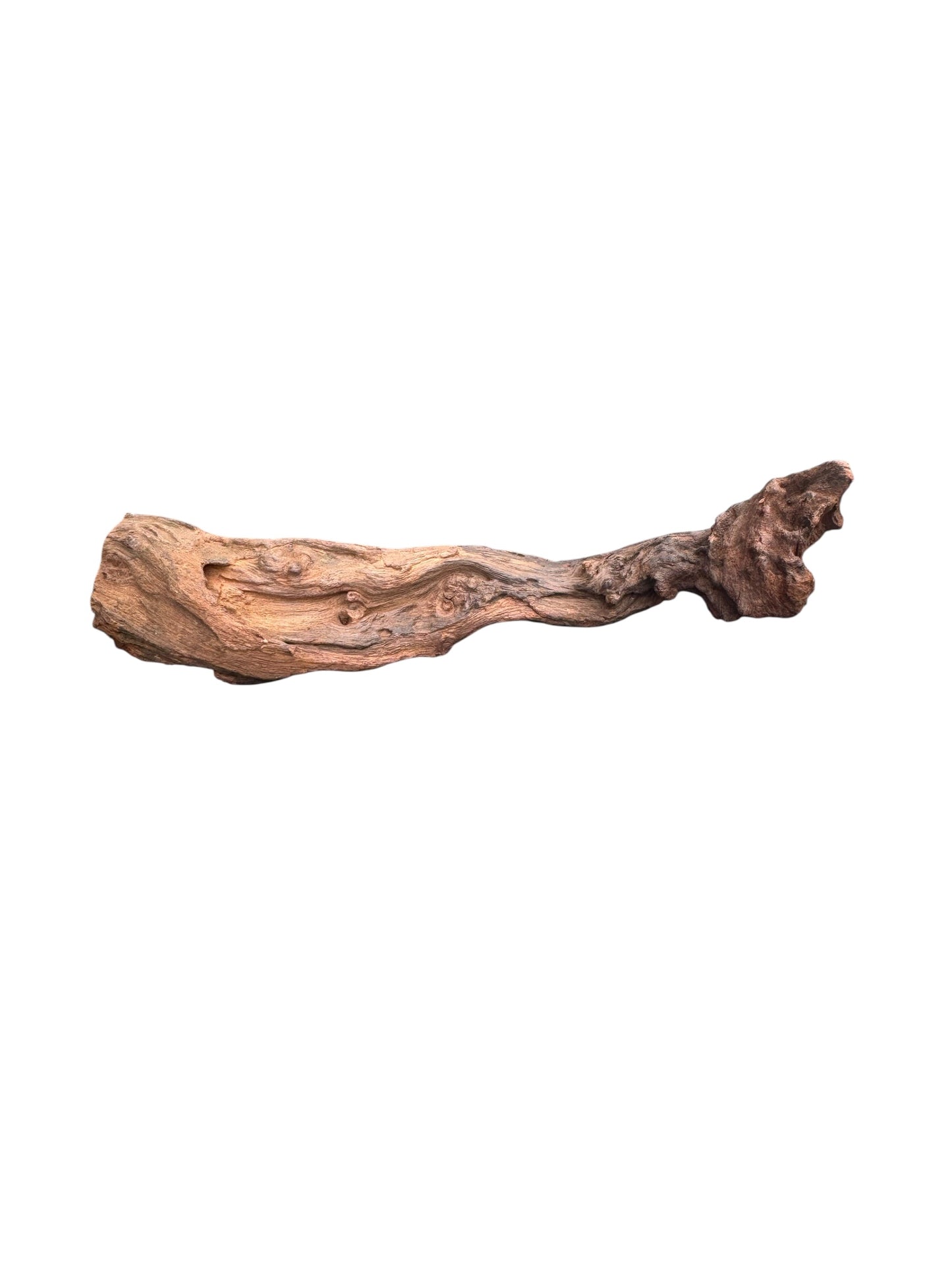 Driftwood piece on a white background