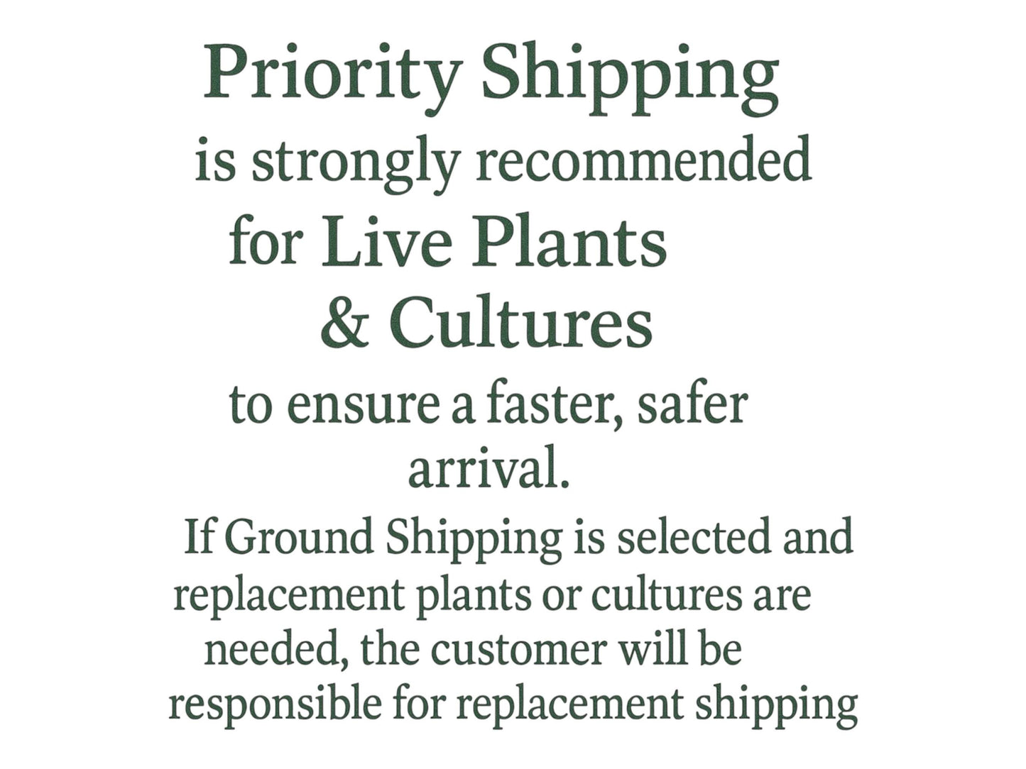 Floating Aquarium Plants Bundle – 7 Live Plants (Red Root, Water Lettuce, Salvinia) for Freshwater Tanks
