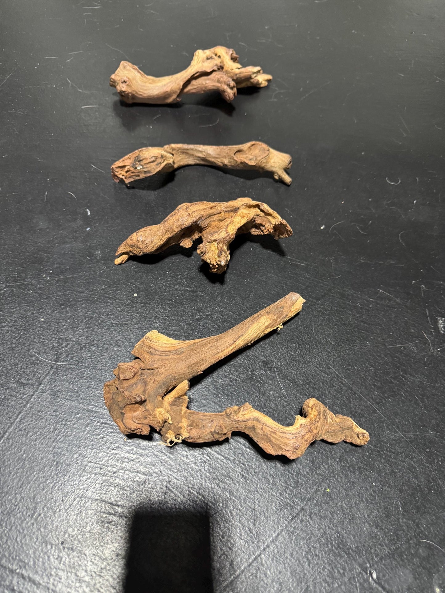 Mopani Driftwood 6–7” – Aquarium Wood Decor for Fish, Shrimp, and Reptiles