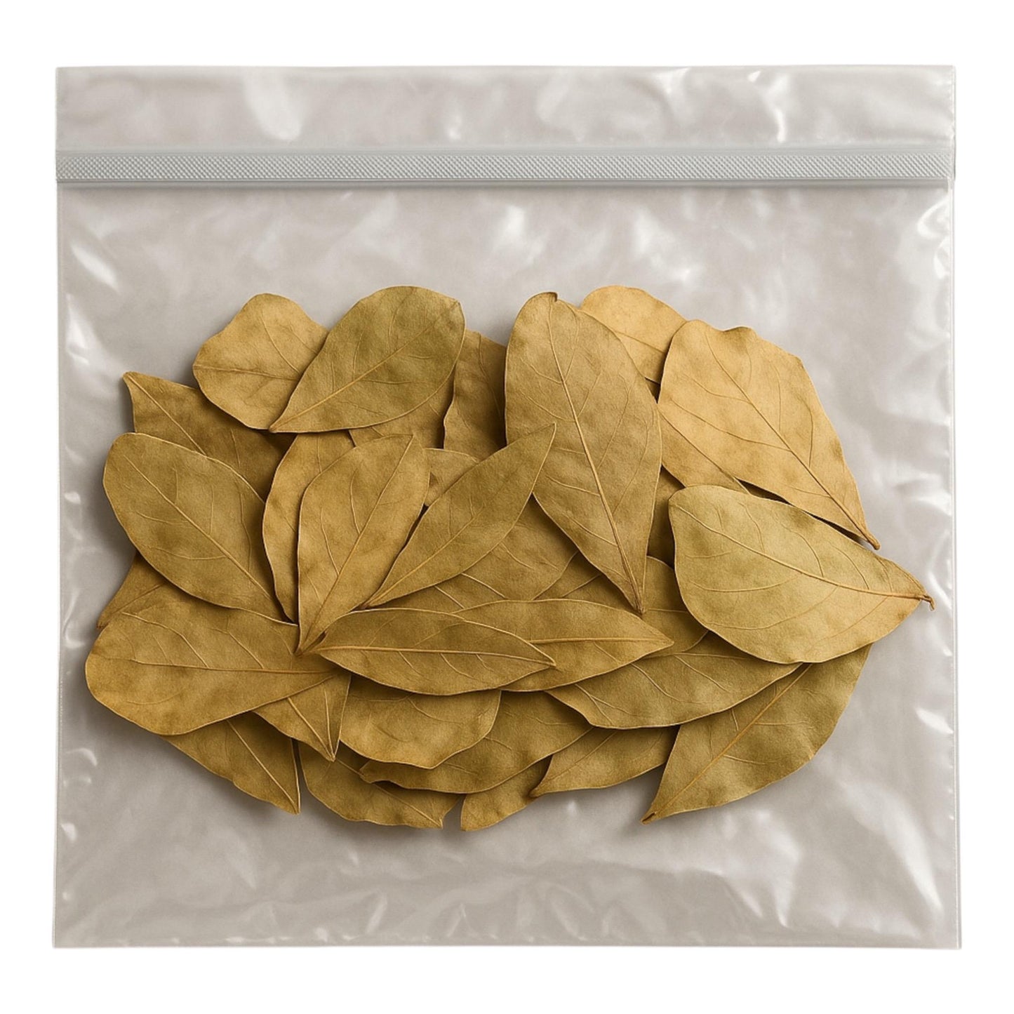 30 Pack Mini Indian Almond Leaves / Catappa Leaves, betta, axolotl, fry, tetra