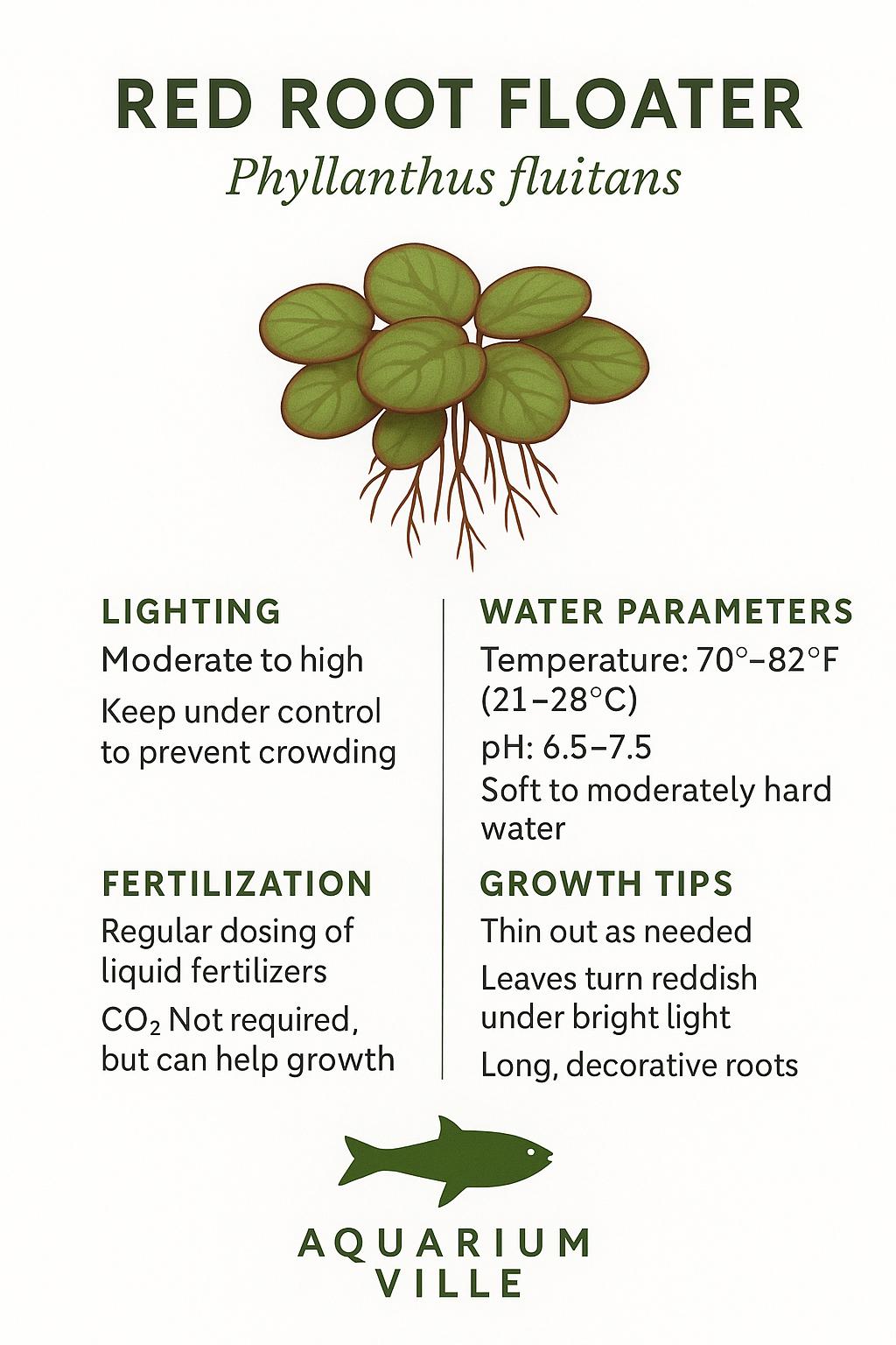 Frogbit Plants +Red Root Floater Plants 3 Each Aquarium Floating Plants, Live Aquarium Plant