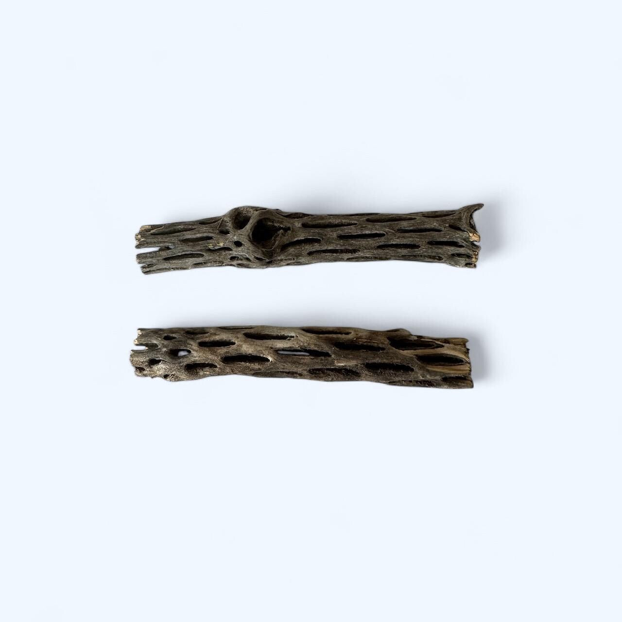 Two pieces of cholla wood on a neutral background