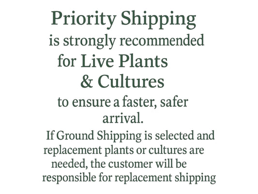 Floating Plant Mix – Red Root Floater, Salvinia and Duckweed | Live Aquarium & Pond Plants for Bettas and Beginners