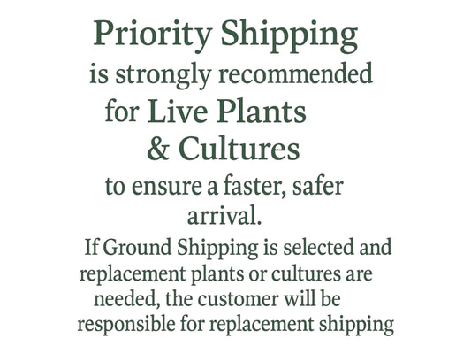 Ultimate Floating Plant Bundle – Red Root Floater, Water Lettuce, Frogbit, Salvinia and Duckweed - Live Aquarium and Pond Plants