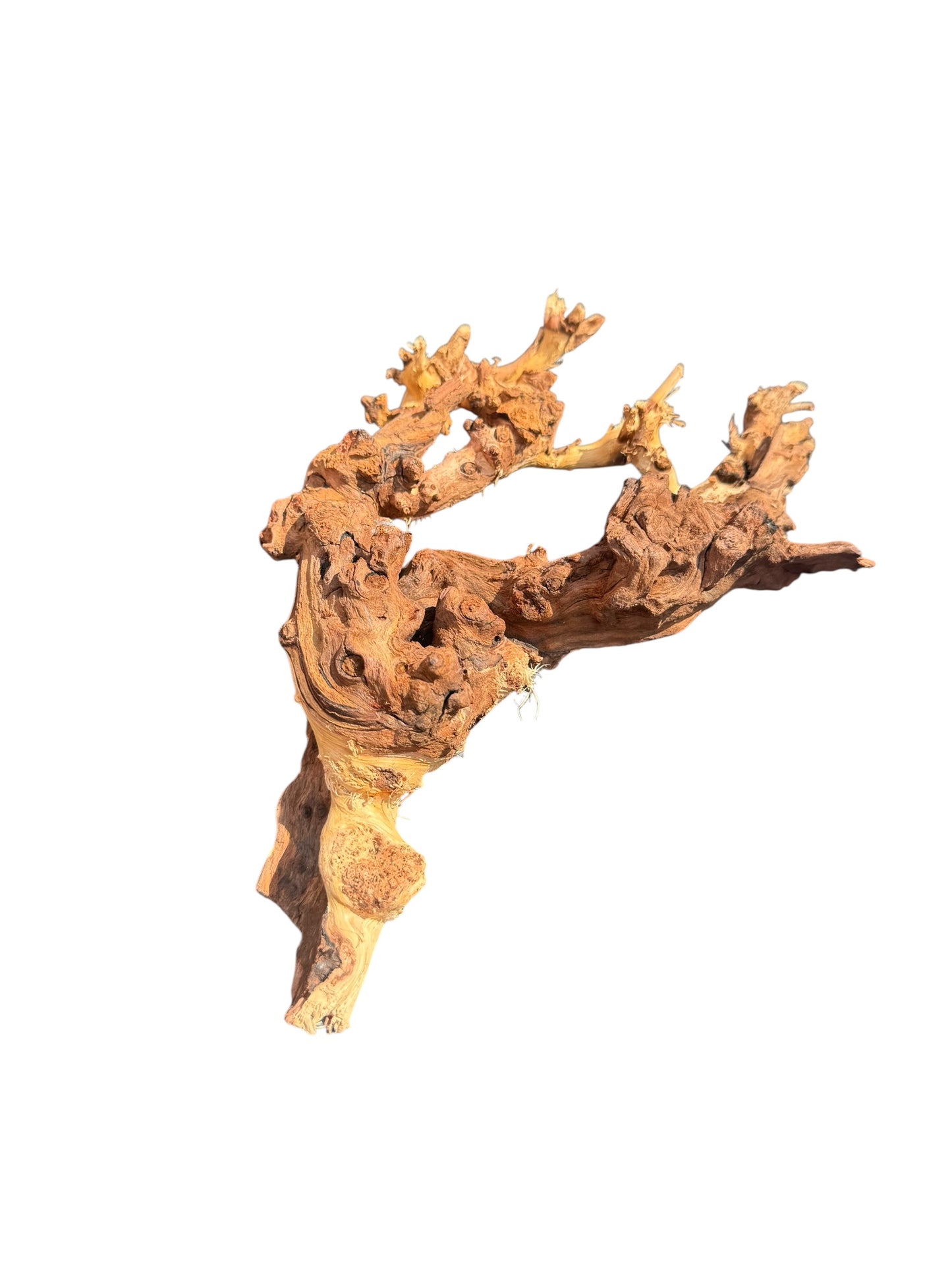 Driftwood piece on a white background