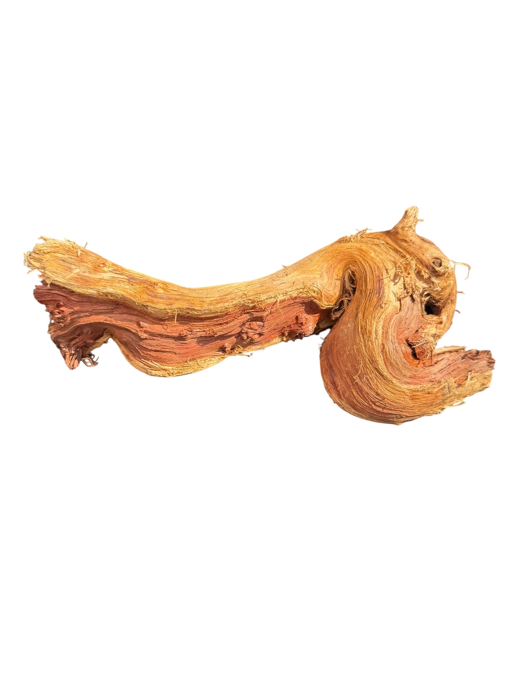 Driftwood piece on a white background