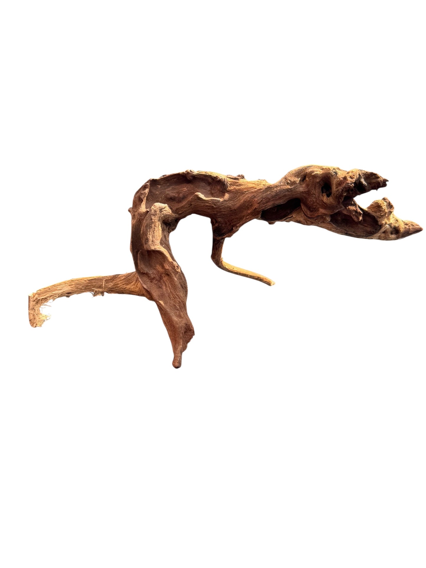 Driftwood piece on a white background