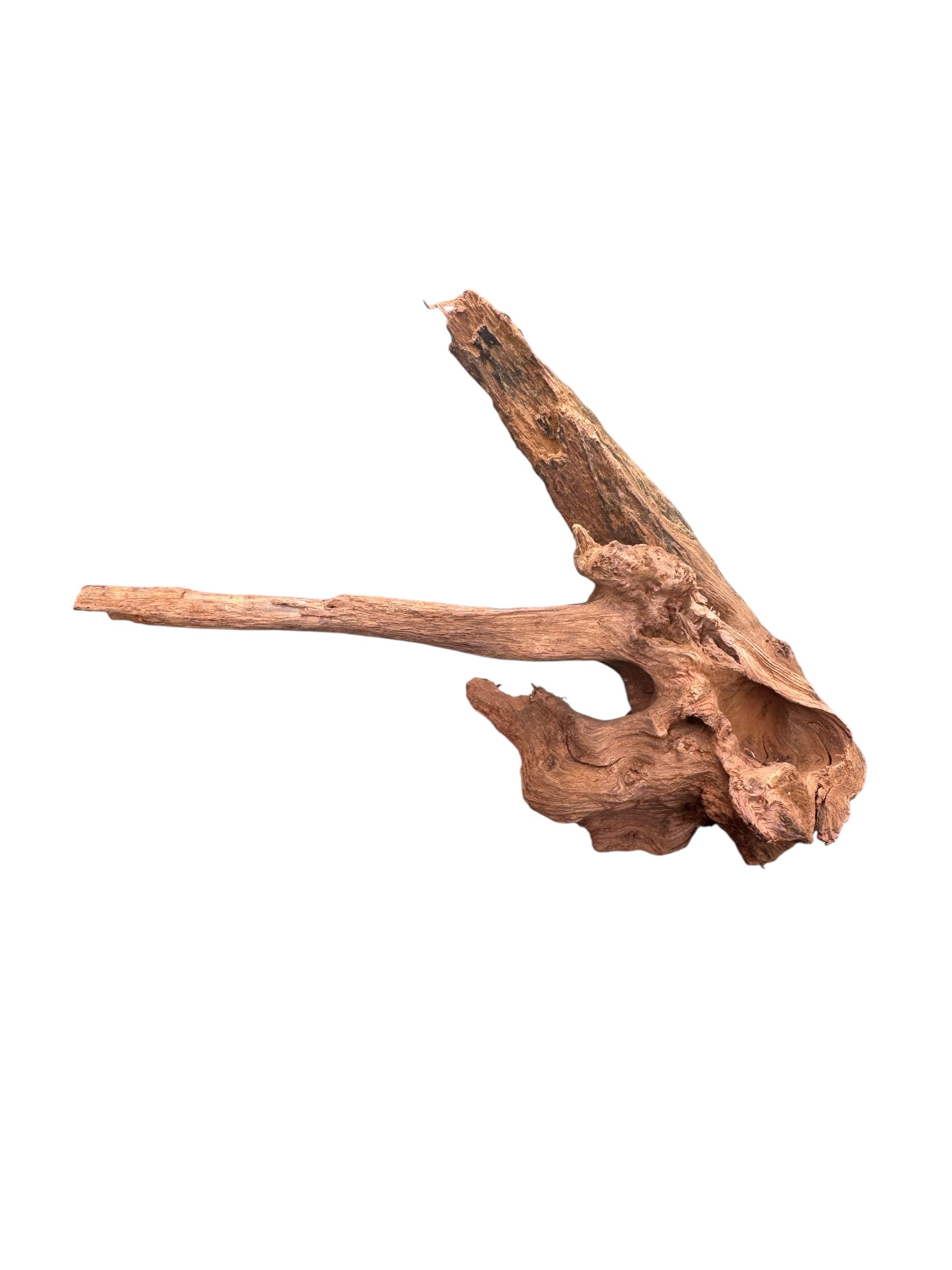Driftwood piece on a white background