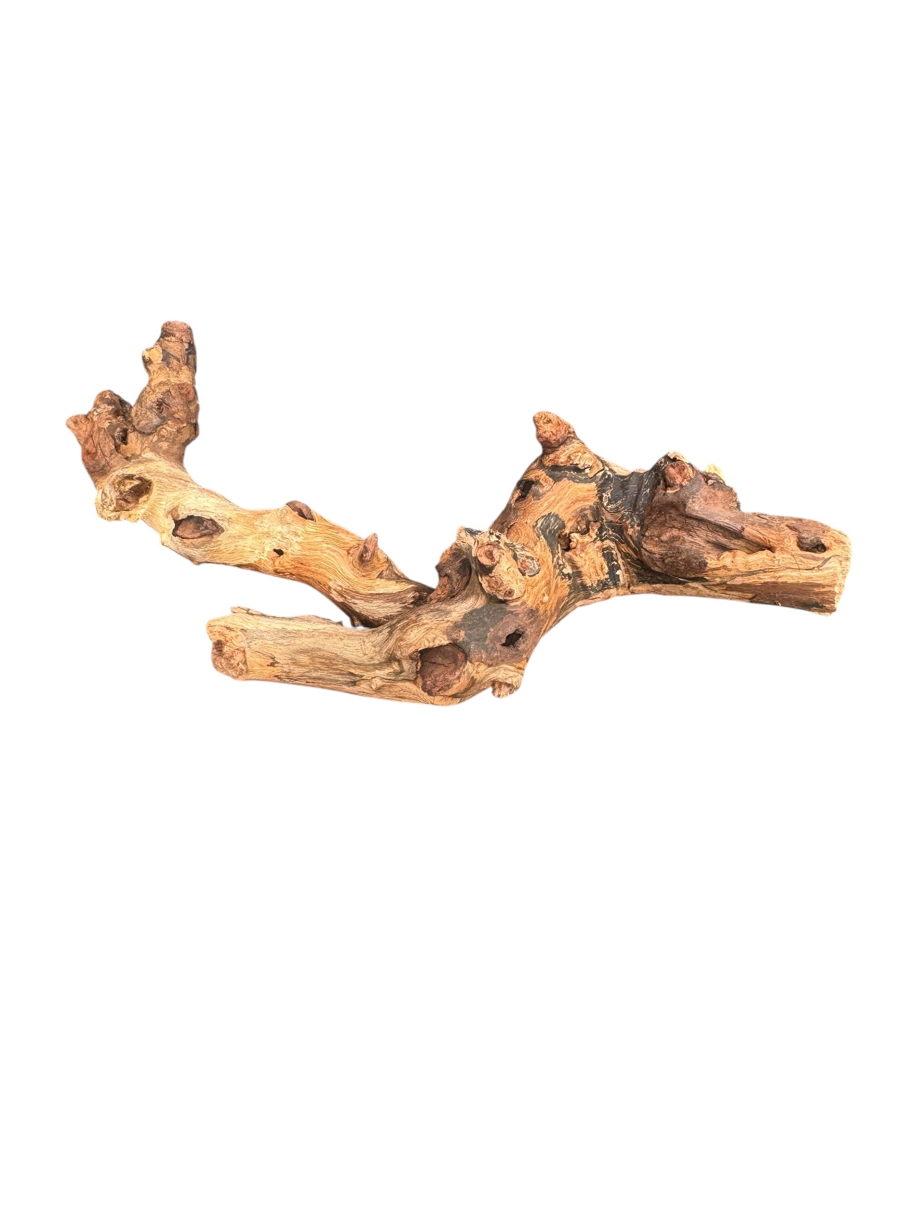 Driftwood piece on a white background