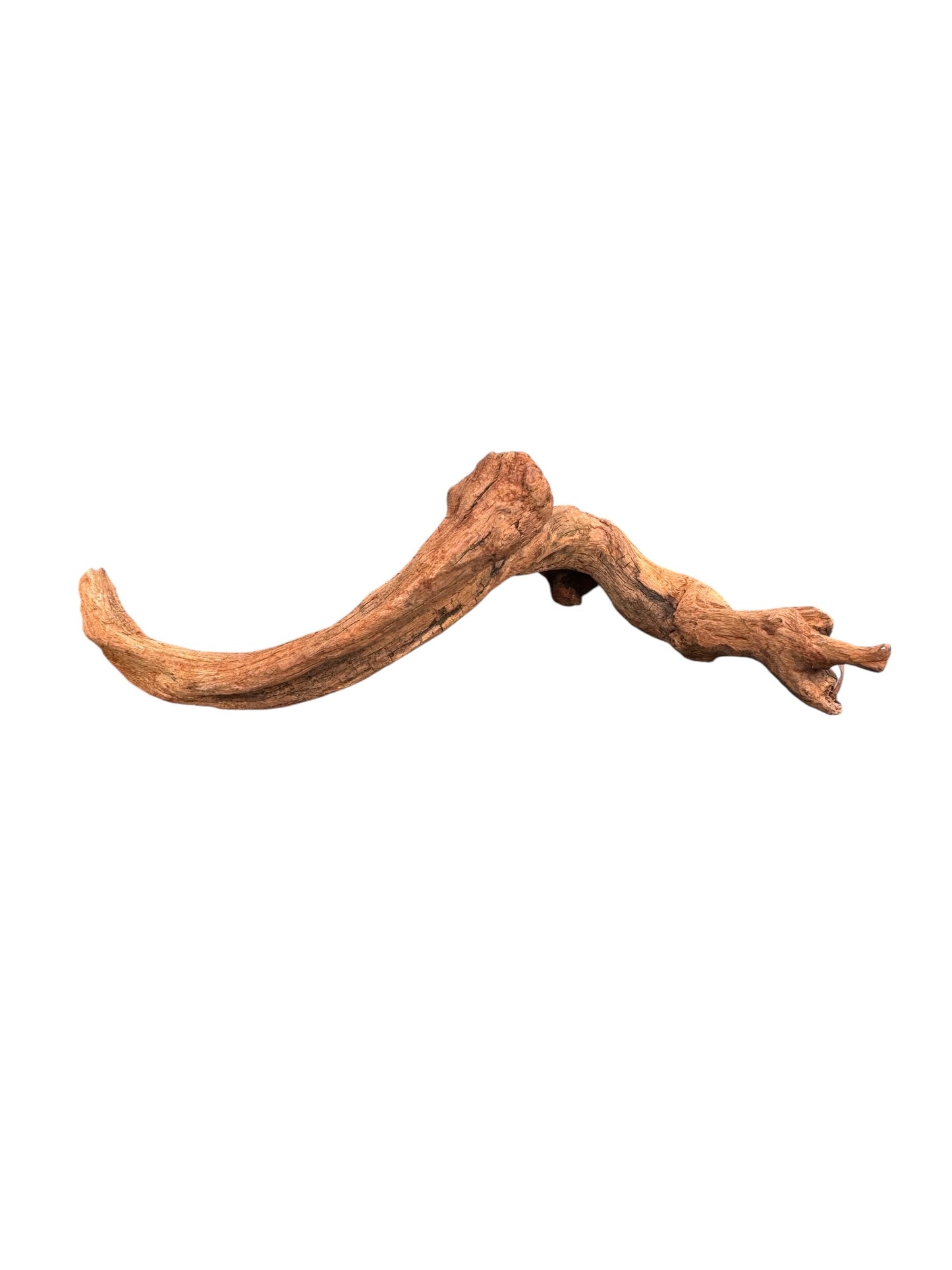 Driftwood on a white background
