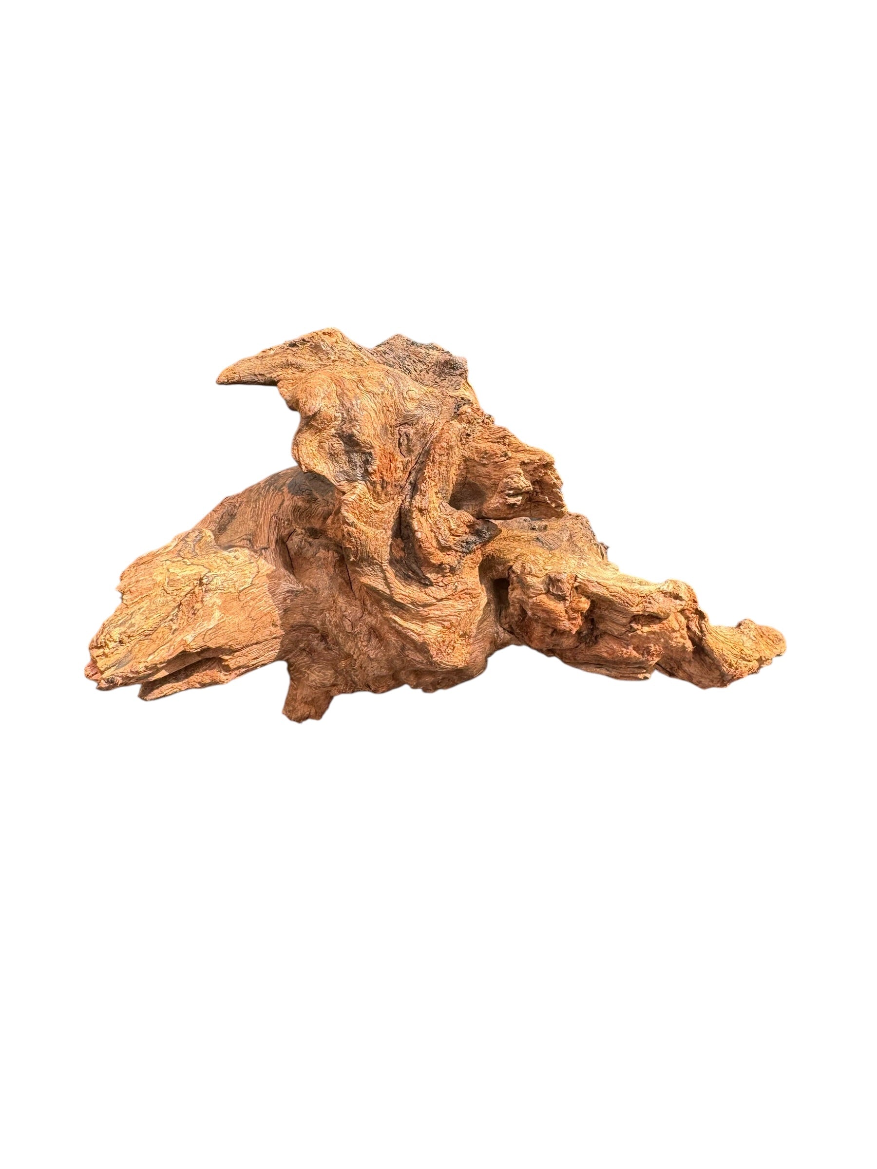 Driftwood piece on a white background