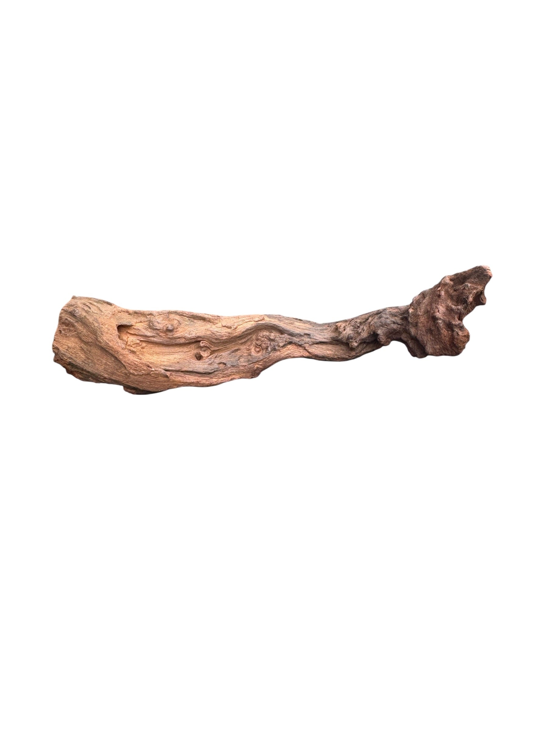 Driftwood piece on a white background