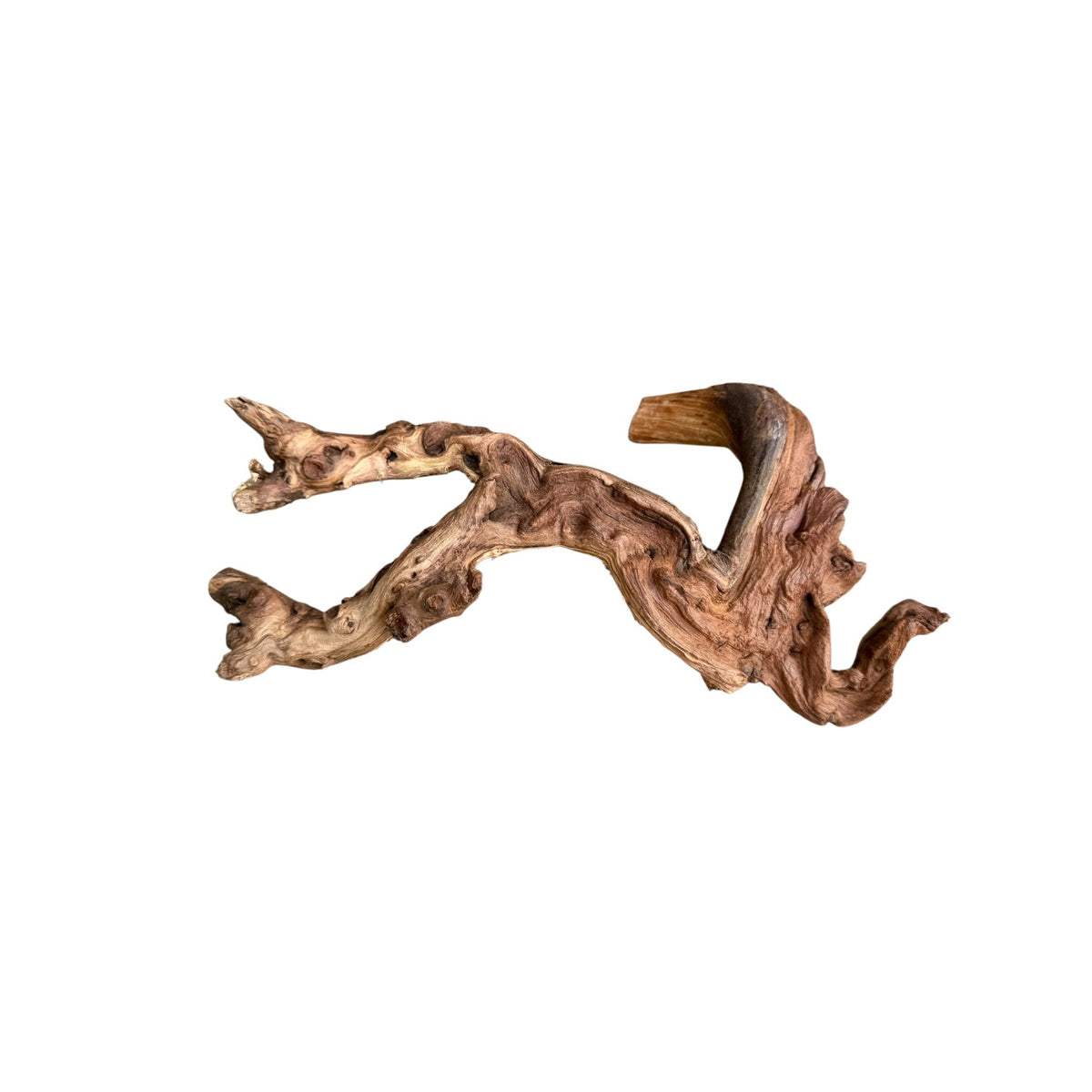 Mopani Driftwood