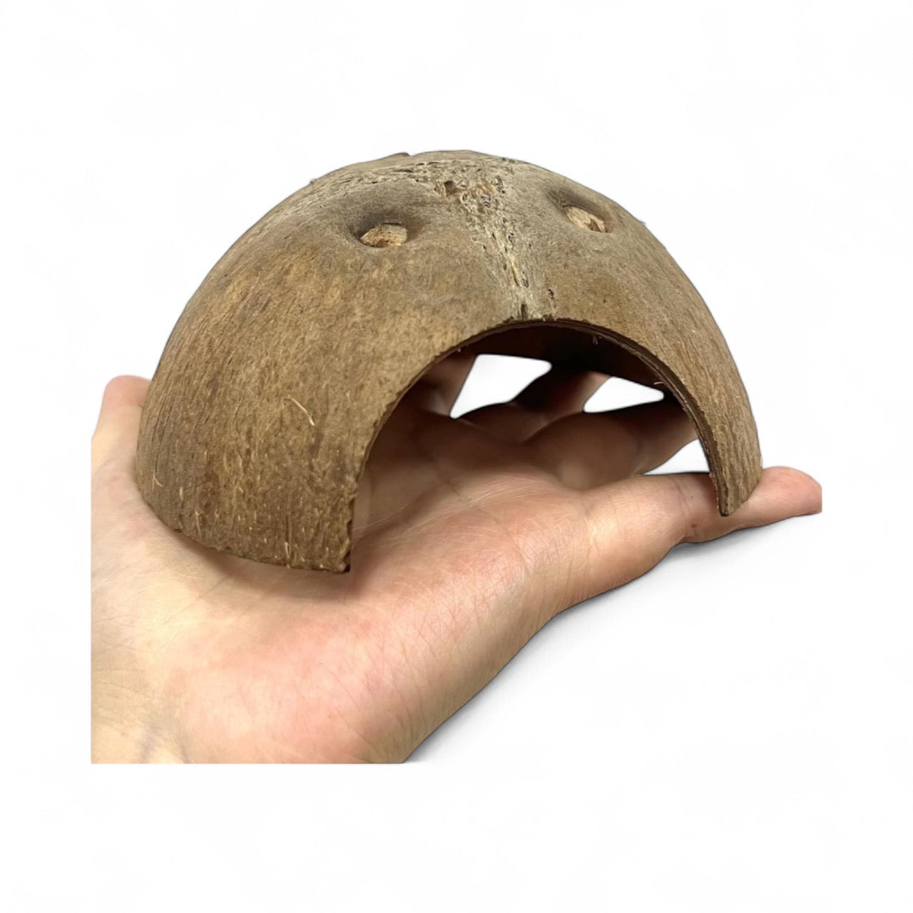 Hand holding a natural coconut shell cave with a smooth cut opening, showing its 5x3 inch size. The half-shell hide is ideal for aquariums, shrimp, small fish, or isopod enclosures.