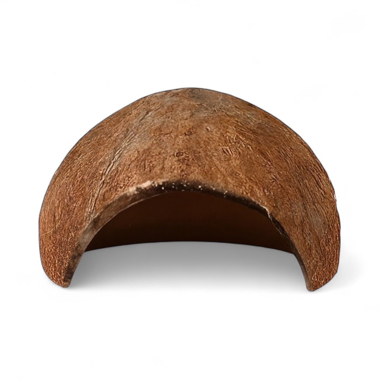 Front view of a natural coconut shell cave with a smooth arched opening, showing its textured brown surface. The hollow half-shell is used as a hideout for shrimp, small fish, or isopods in aquariums and terrariums.