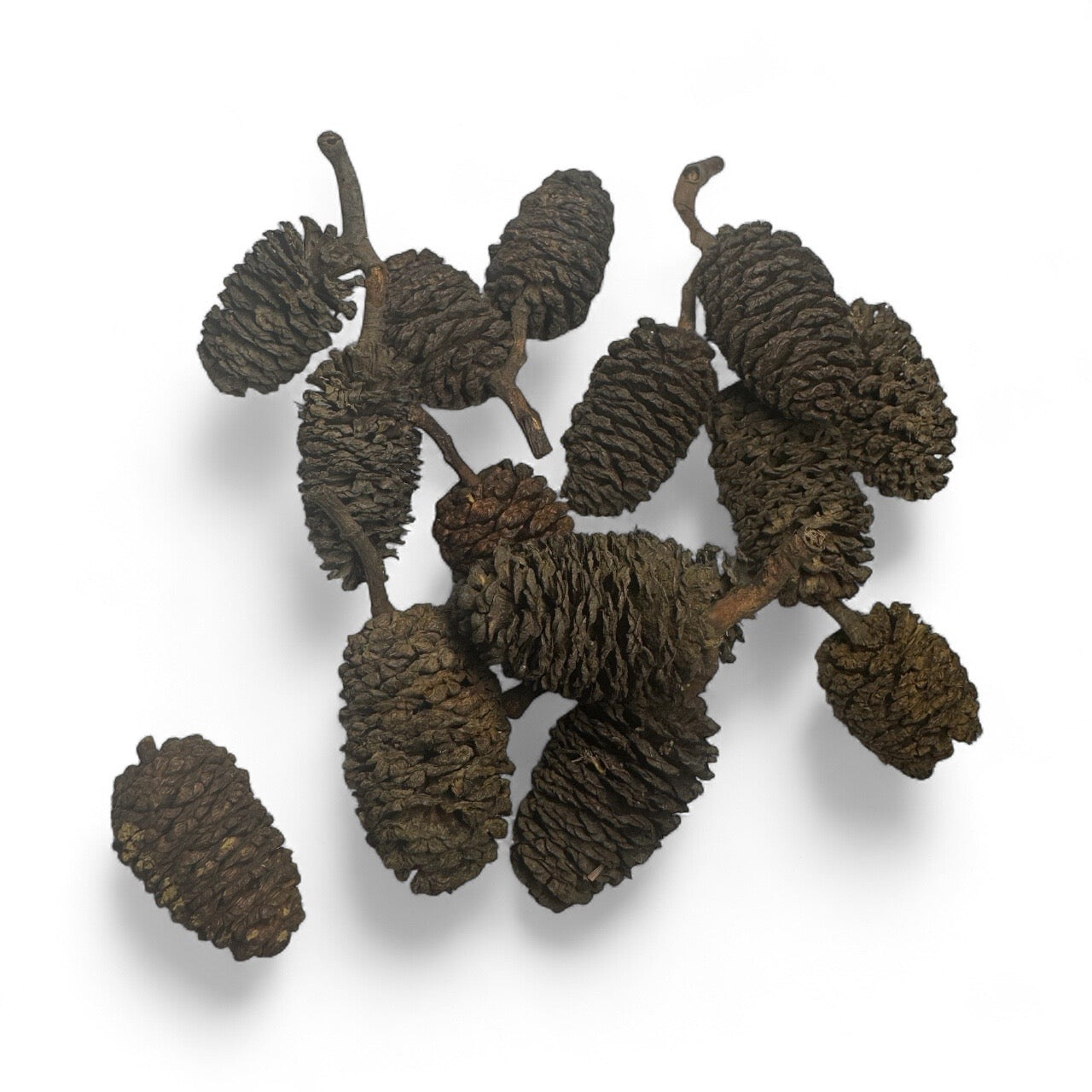 Close-up of natural alder cones scattered on a white background, showing their rough, textured brown surface. Commonly used in aquariums and shrimp tanks to lower pH, release tannins, and create a natural blackwater environment.