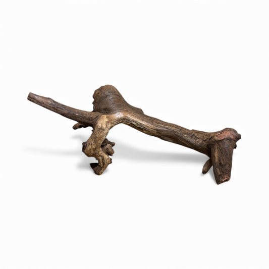 Mopani Driftwood