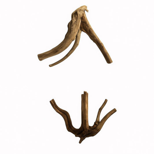Spiderwood, 5-7 inches - Natural Aquarium Hardscape for Aquascaping and Planted Tanks