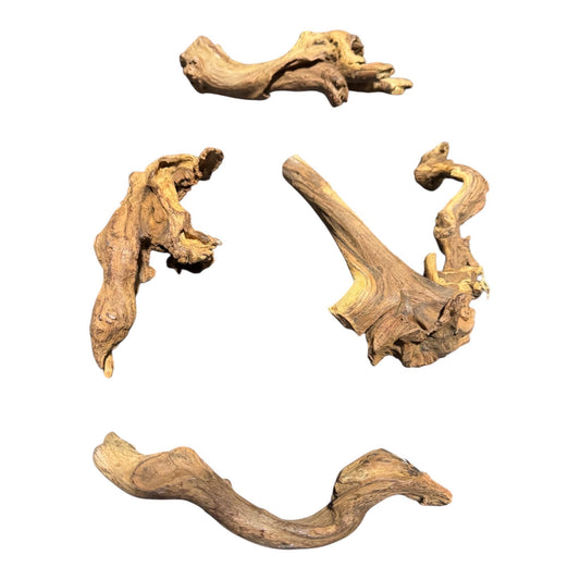 Mopani Driftwood 6–7” – Aquarium Wood Decor for Fish, Shrimp, and Reptiles